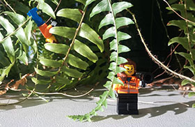 A Lego toy character standing next to a plant